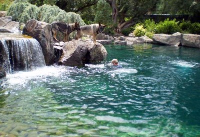 Natural Pool 2